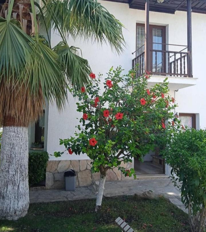 Nehir Dalyan Boutique Otel Ortaca  Exterior photo